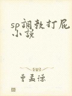sp调教打屁股小说