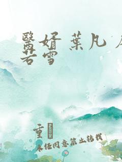 医婿 叶凡 唐若雪
