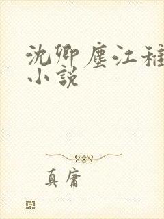 沈卿尘江稚免费小说