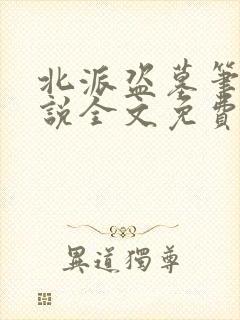 北派盗墓笔记小说全文免费阅读无弹窗 北派盗墓笔记小说全文免费阅读无弹窗