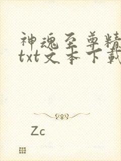 神魂至尊精校版txt文本下载