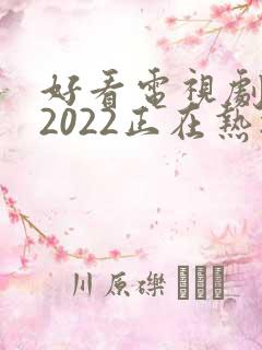 好看电视剧推荐2022正在热播的剧