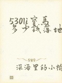 530li宝马多少钱落地