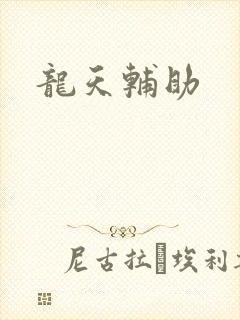 龙天辅助 龙天辅助
