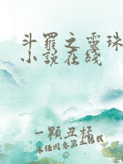 斗罗之灵珠神剑小说在线
