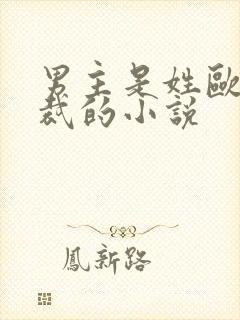 男主是姓欧的总裁的小说