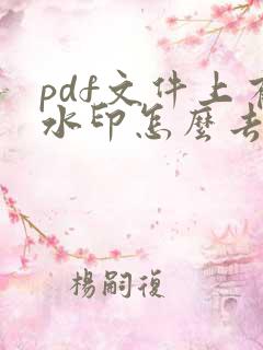 pdf文件上有水印怎么去除