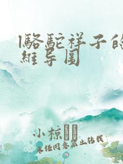 l骆驼祥子的思维导图