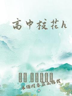 高中校花h