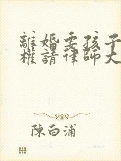 离婚要孩子抚养权请律师大概需要多少钱