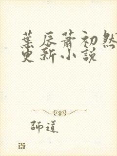 叶辰萧初然最新更新小说