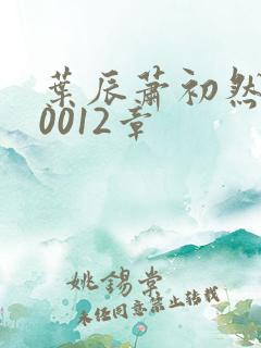 叶辰萧初然100012章