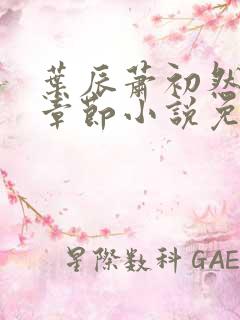 叶辰萧初然最新章节小说免费阅读
