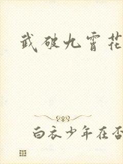 武破九霄花颜