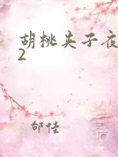 胡桃夹子夜未眠2