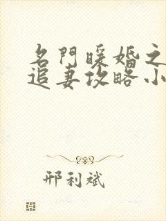 名门暖婚之权爷追妻攻略小说