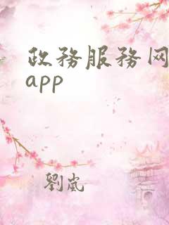 政务服务网下载app