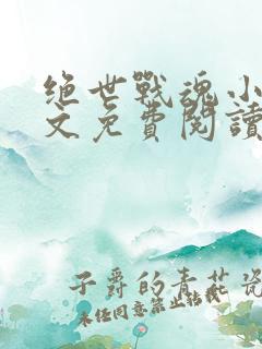 绝世战魂小说全文免费阅读无弹窗
