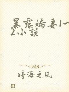 暴露娇妻1~12小说