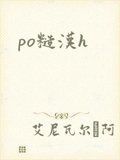 po糙汉h
