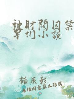被财阀囚禁的明星们小说