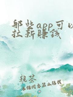 那些app可以拉新赚钱 那些app可以拉新赚钱