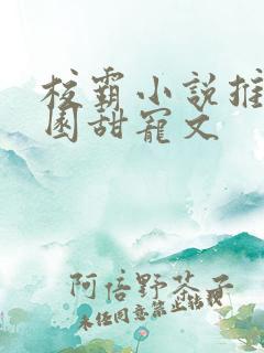 校霸小说推荐校园甜宠文 校霸小说推荐校园甜宠文