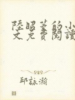 陆昭菱的小说全文免费阅读