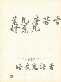 叶凡唐若雪 王婿叶凡