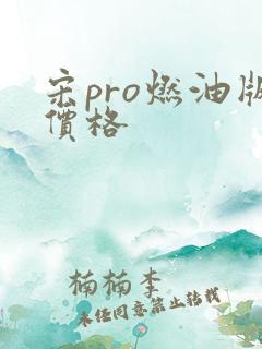 宋pro燃油版价格