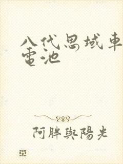 八代思域车钥匙电池