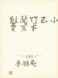 难哄竹已小说免费完本
