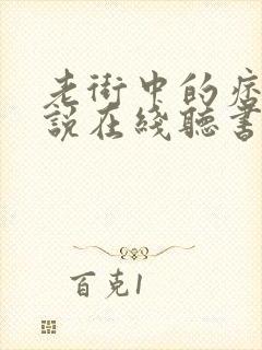 老街中的痞子小说在线听书