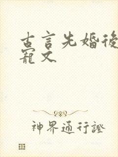 古言先婚后爱甜宠文