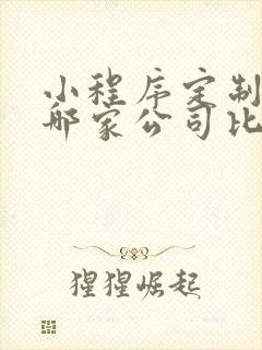 小程序定制开发哪家公司比较好