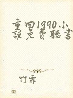 重回1990小说免费听书