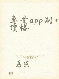 专业app制作价格