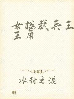 女总裁兵王萧晨主角