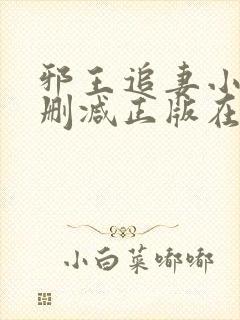 邪王追妻小说无删减正版在线阅读