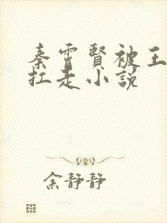 秦霄贤被王鹤棣扛走小说