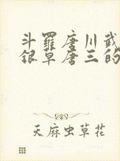斗罗唐川武魂蓝银草唐三的哥哥的小说