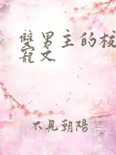 双男主的校园甜宠文