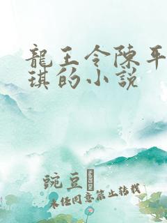 龙王令陈平苏雨琪的小说
