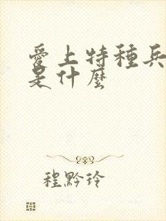 爱上特种兵结局是什么