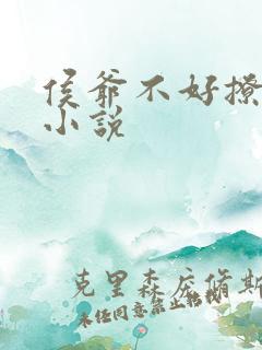 侯爷不好撩免费小说