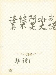 港综阿sir我真不是大佬