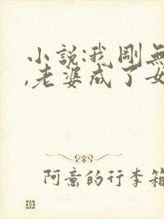 小说:我刚无敌,老婆成了女帝