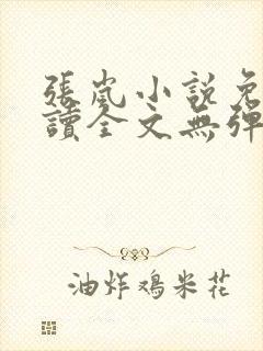 张岚小说免费阅读全文无弹窗