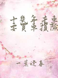 十几年老车有必要买车损险吗