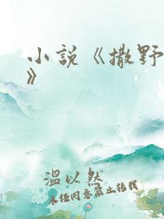 小说《撒野巫哲》